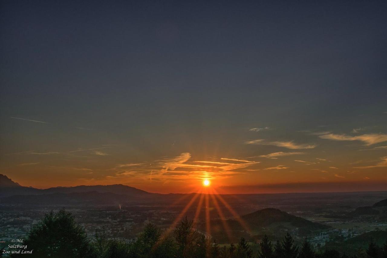 Panoramagasthof Daxlueg ซาลซ์บูร์ก ภายนอก รูปภาพ